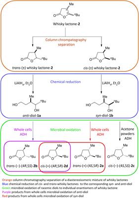 Stereoselective synthesis of whisky lactone isomers catalyzed by bacteria in the genus Rhodococcus